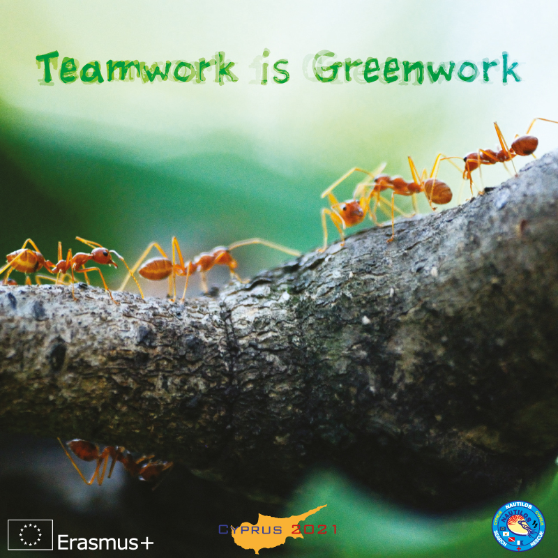 TeamworkisGreenwork Banner 001667