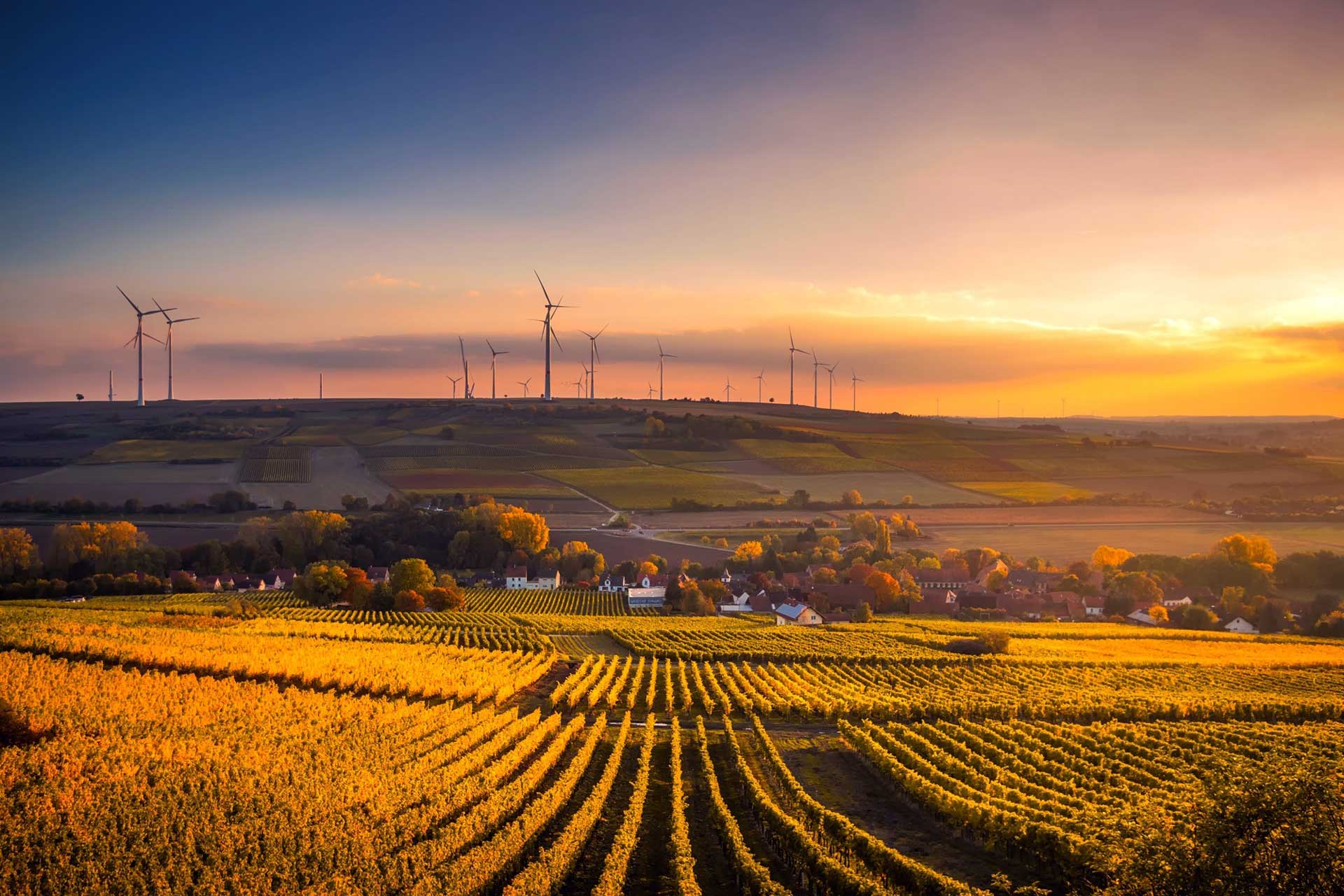 Sustainability Image